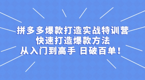 【拼多多从入门到高手，爆款实战训练营日破百单】-电商/运营/开店/教学/教程-_微卡网激活码商城