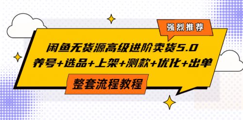 【闲鱼无货源高级进阶卖货5.0，养号+选品+上架+测款+优化+出单整套流程教程】-电商/运营/教学/开店/引流/教程