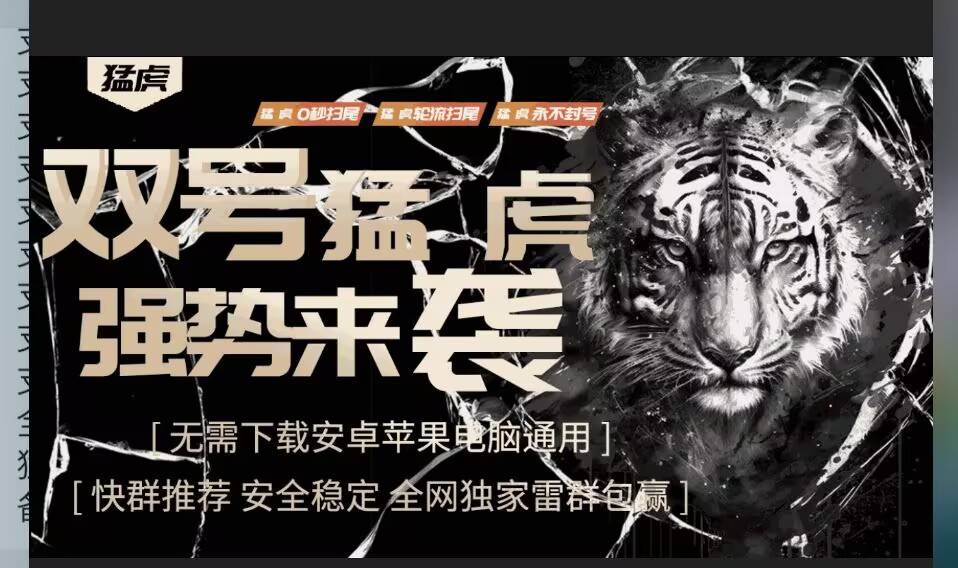 云端猛虎双号激活码 扫雷尾数拖拉机多模式智能过滤神器